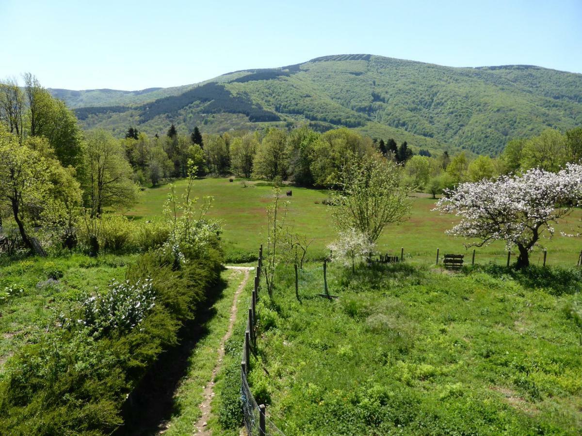 B And B Sycomore, La Bouriotte Labastide-Rouairoux 外观 照片